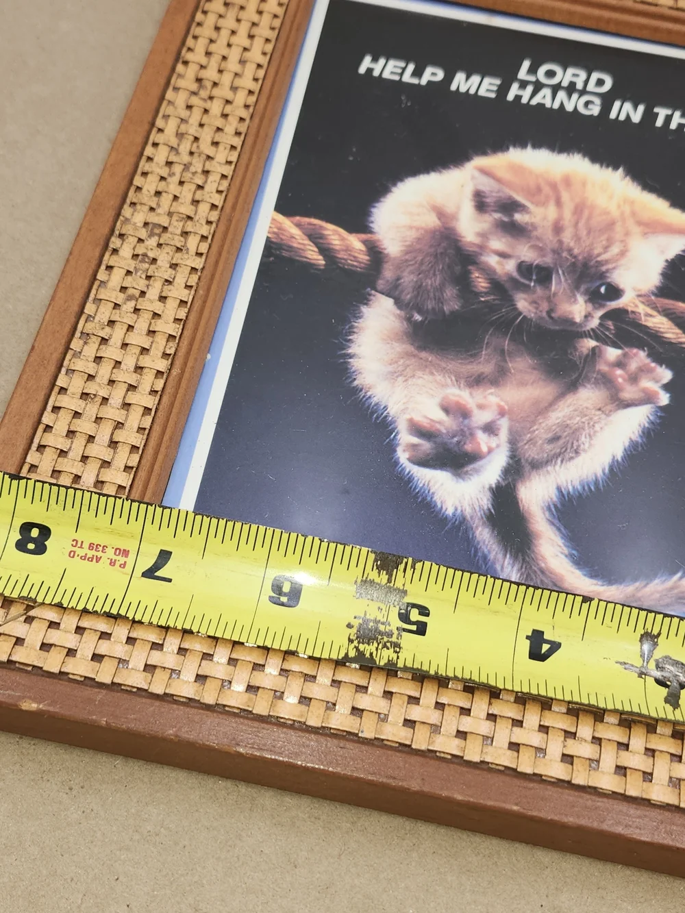 Vintage Rattan Framed Art Motivational Poster Cat Hang In There Wall Art